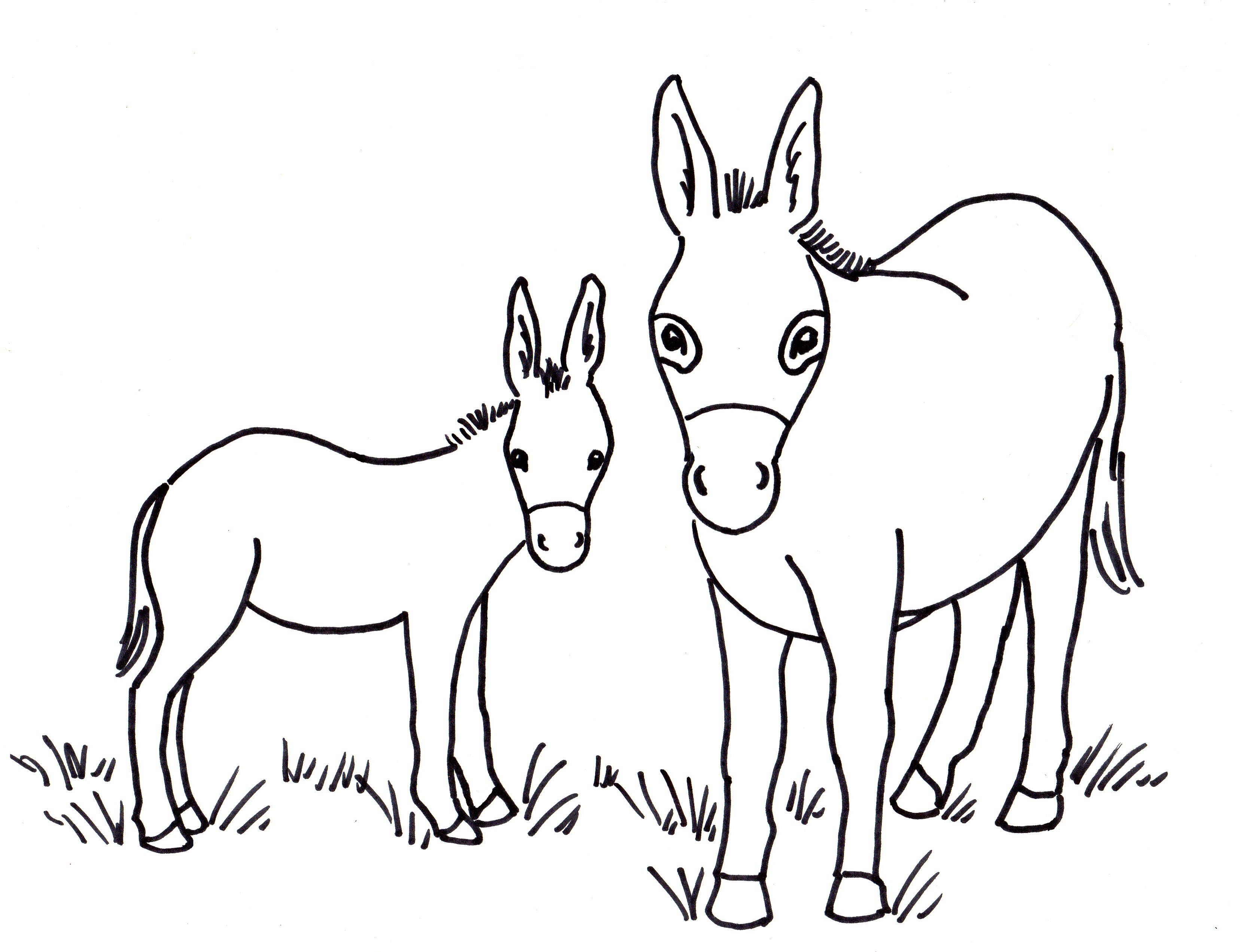 Donkey Coloring Page Donkey Coloring Page Art Starts For Kids