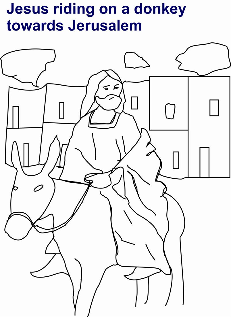Donkey Coloring Page Jesus Riding On Donkey Coloring Page For Kids