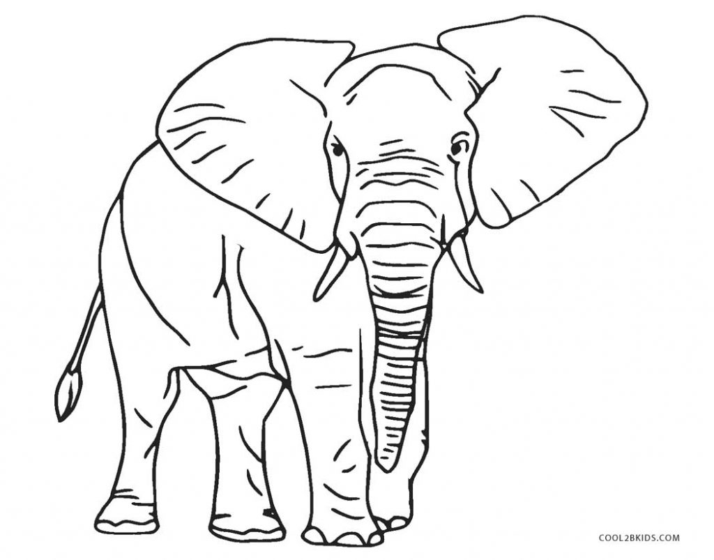 Elephant Coloring Pages For Preschool Coloring Book Elephant Coloring Page To Print And Color Nature