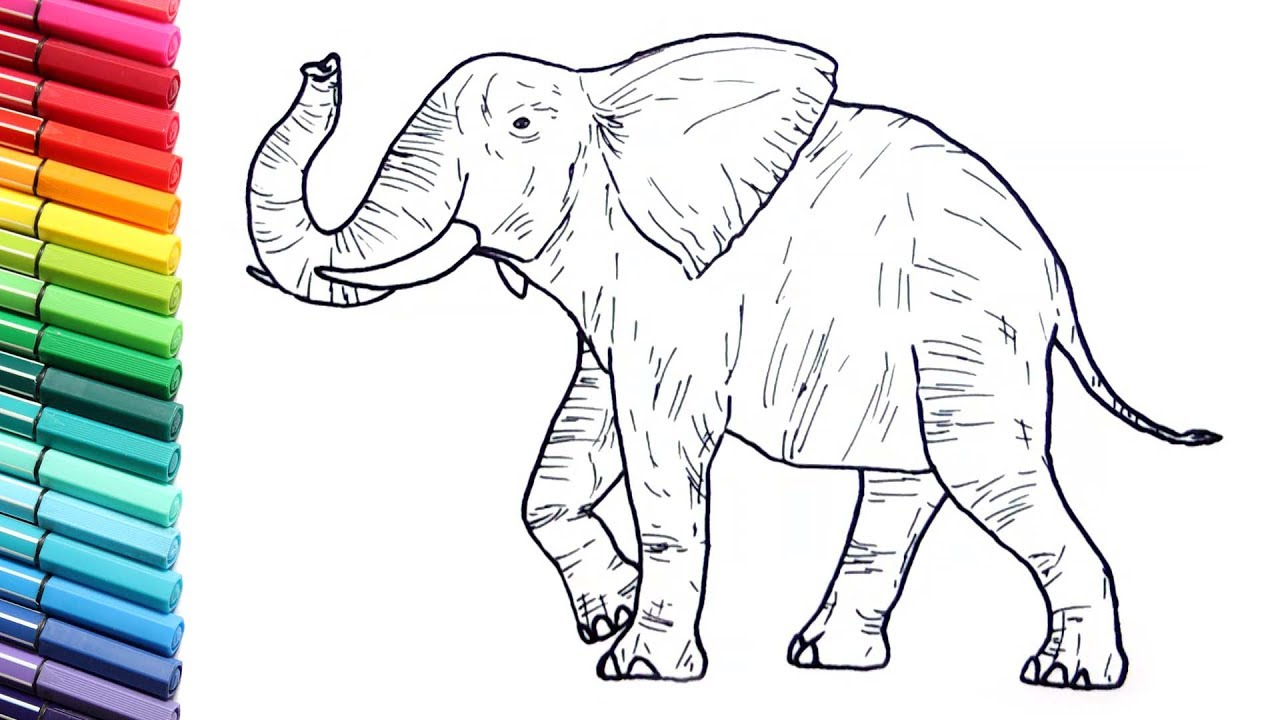 Elephant Coloring Pages For Preschool Coloring Ideas Wild Animals Coloring Ideas Drawing And Elephant