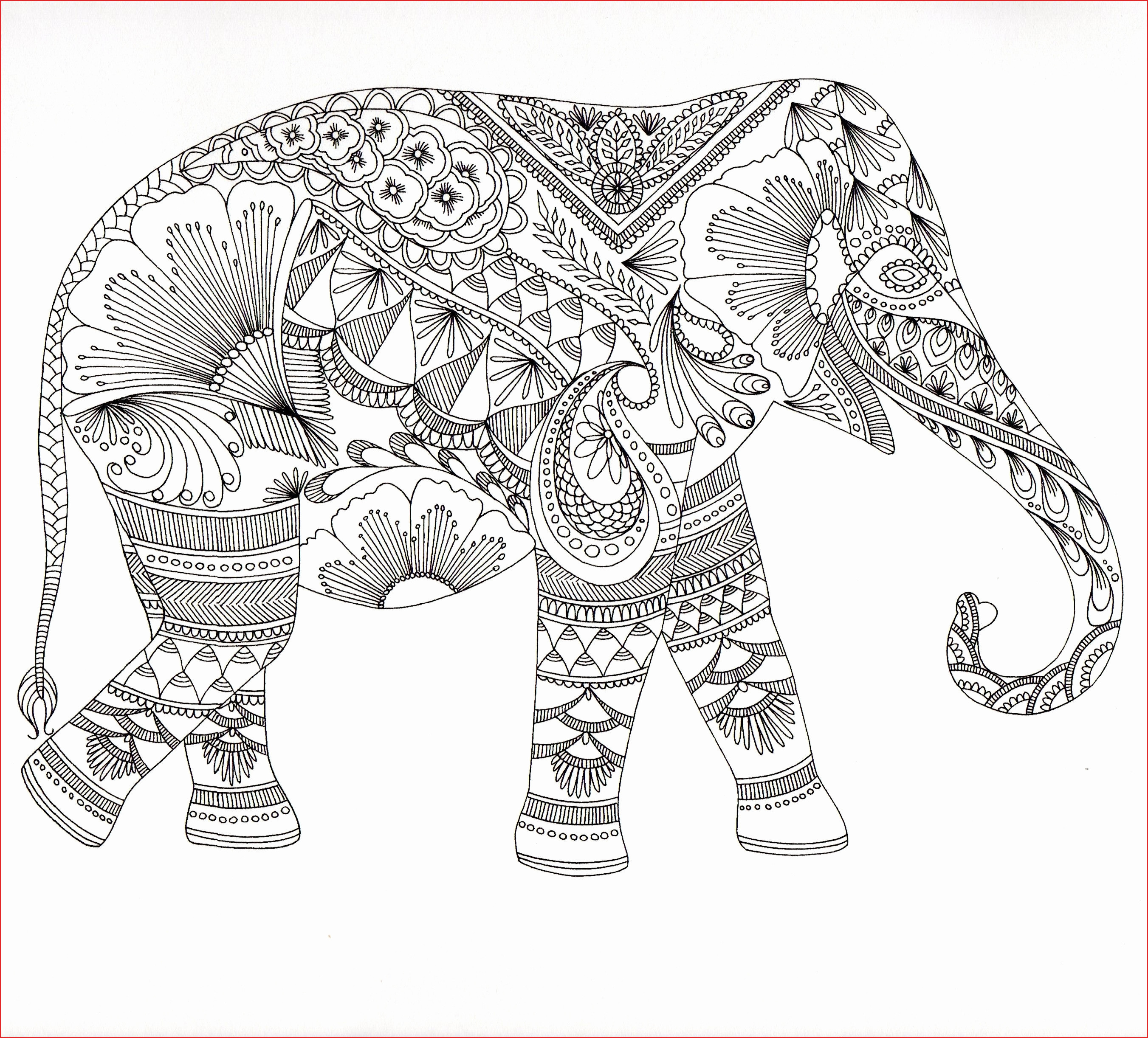 Elephant Coloring Pages For Preschool Elephant Coloring Pages 22506 Elephant Coloring Pages Printable