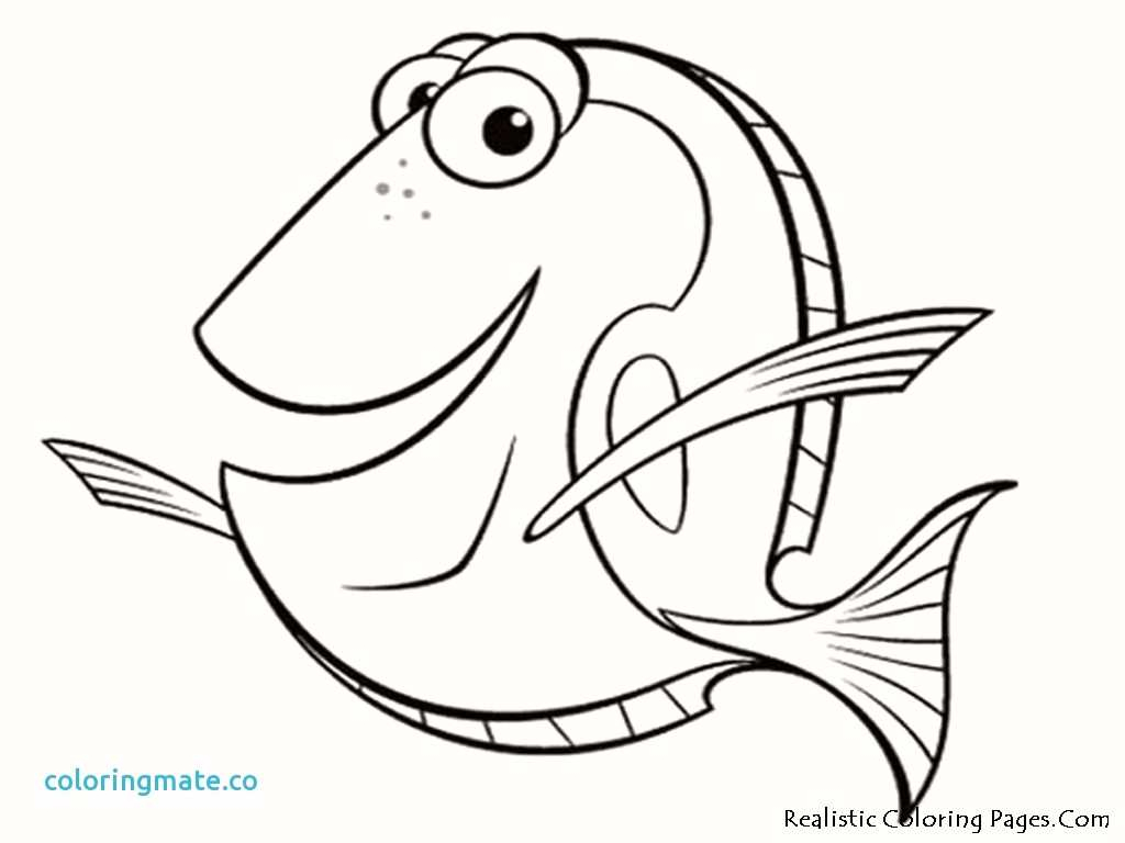 Finding Nemo Characters Coloring Pages Nemo Coloring Pages Best Of 56 Awesome Finding Nemo Coloring Page