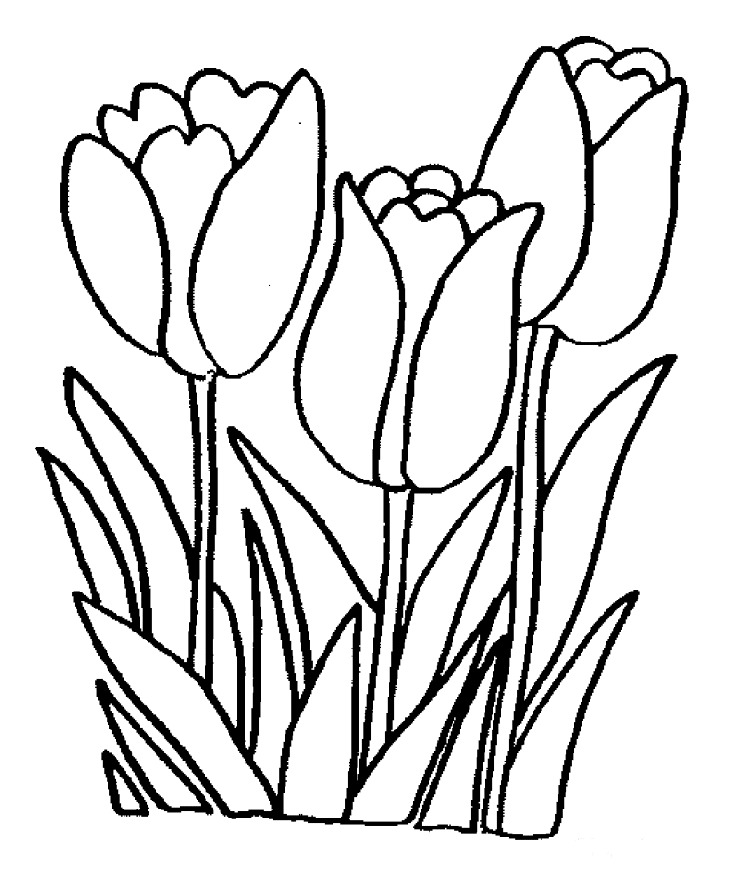 Flowers Coloring Pages Free Printable Flower Coloring Pages Free