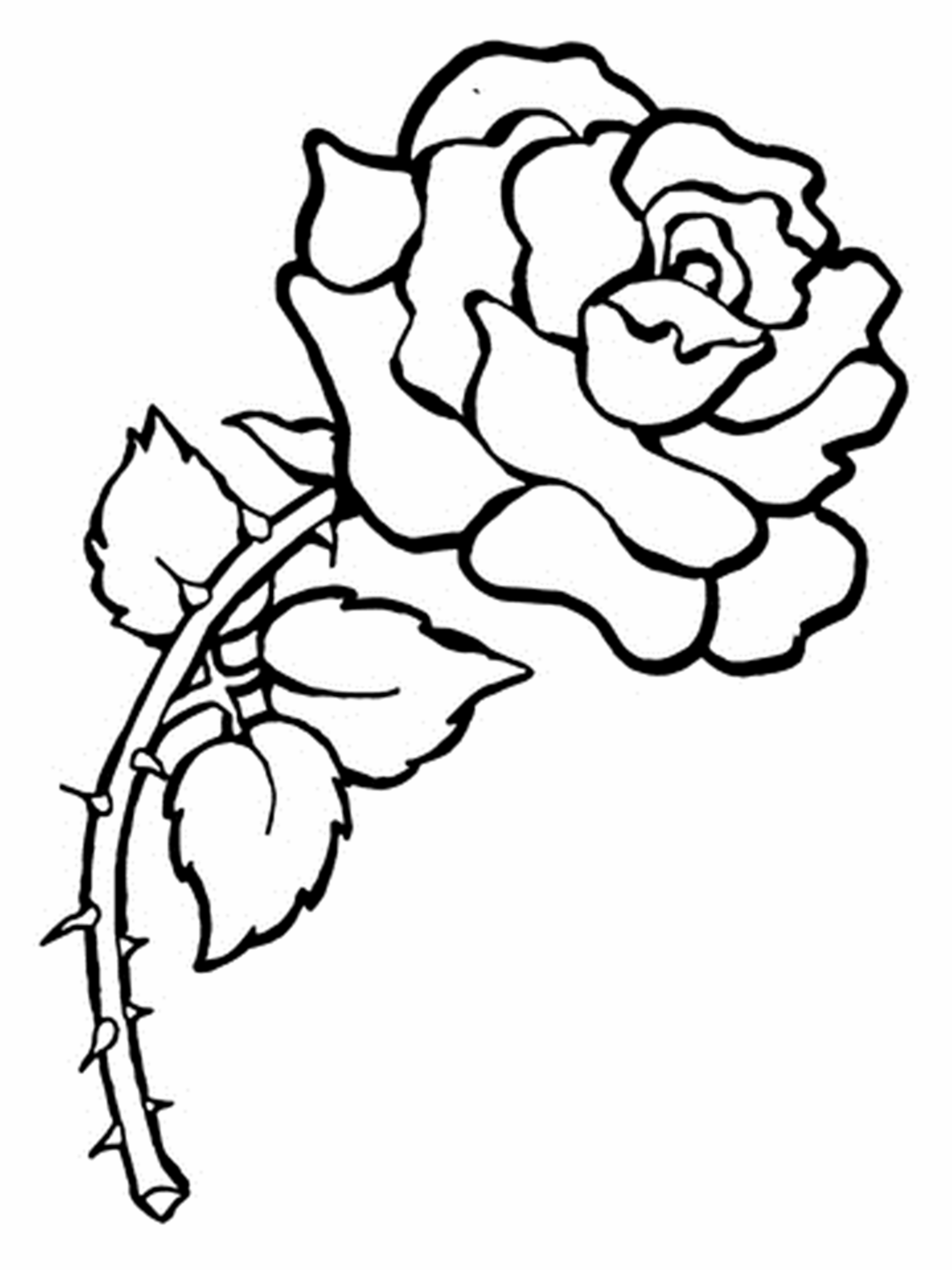 Flowers Coloring Pages Free Printable Free Printable Flower Coloring Pages For Kids Best Coloring Pages