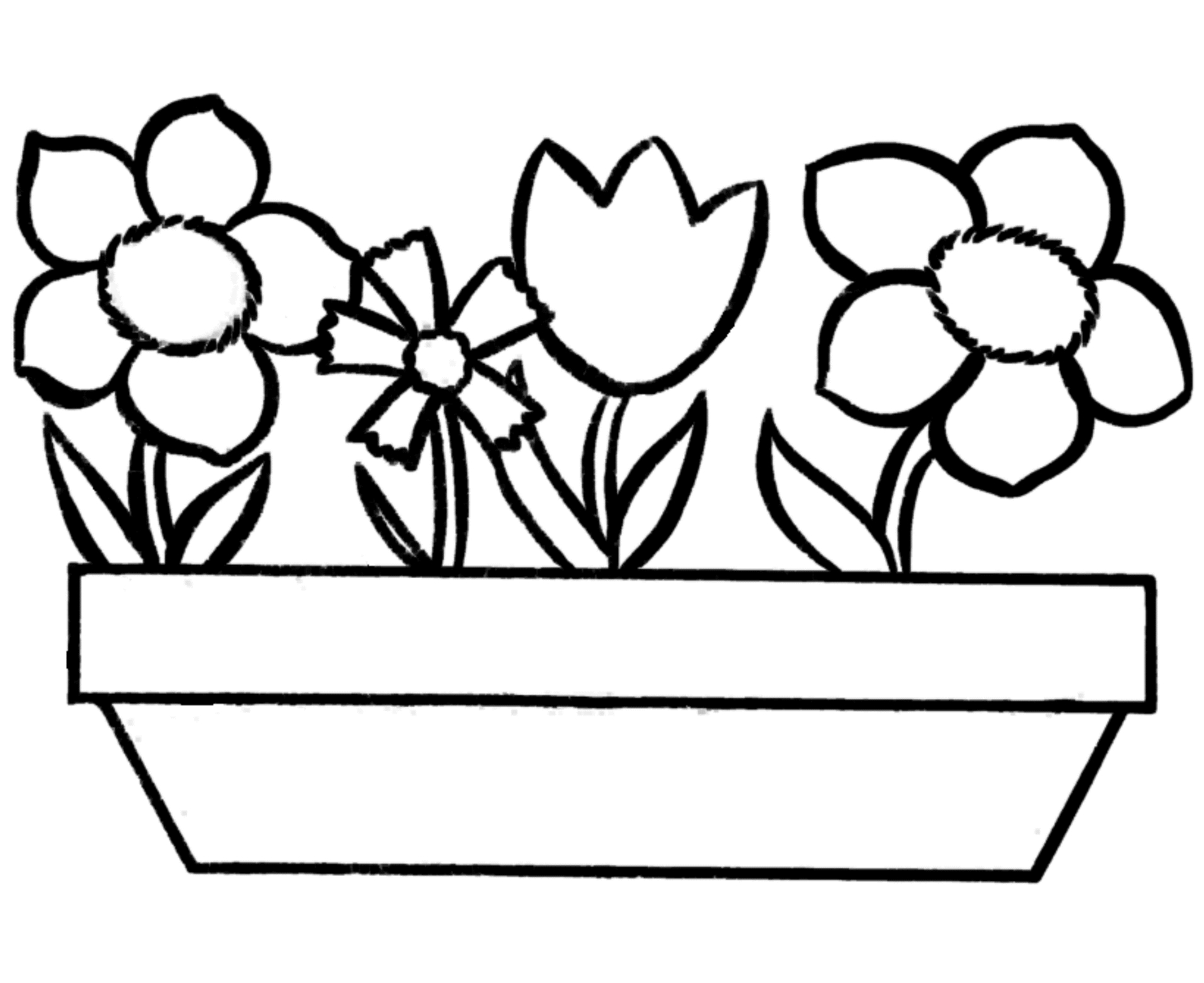 Flowers Coloring Pages Free Printable Printable Flower Coloring Pages For Girls 14 N Colouring Pages Photo