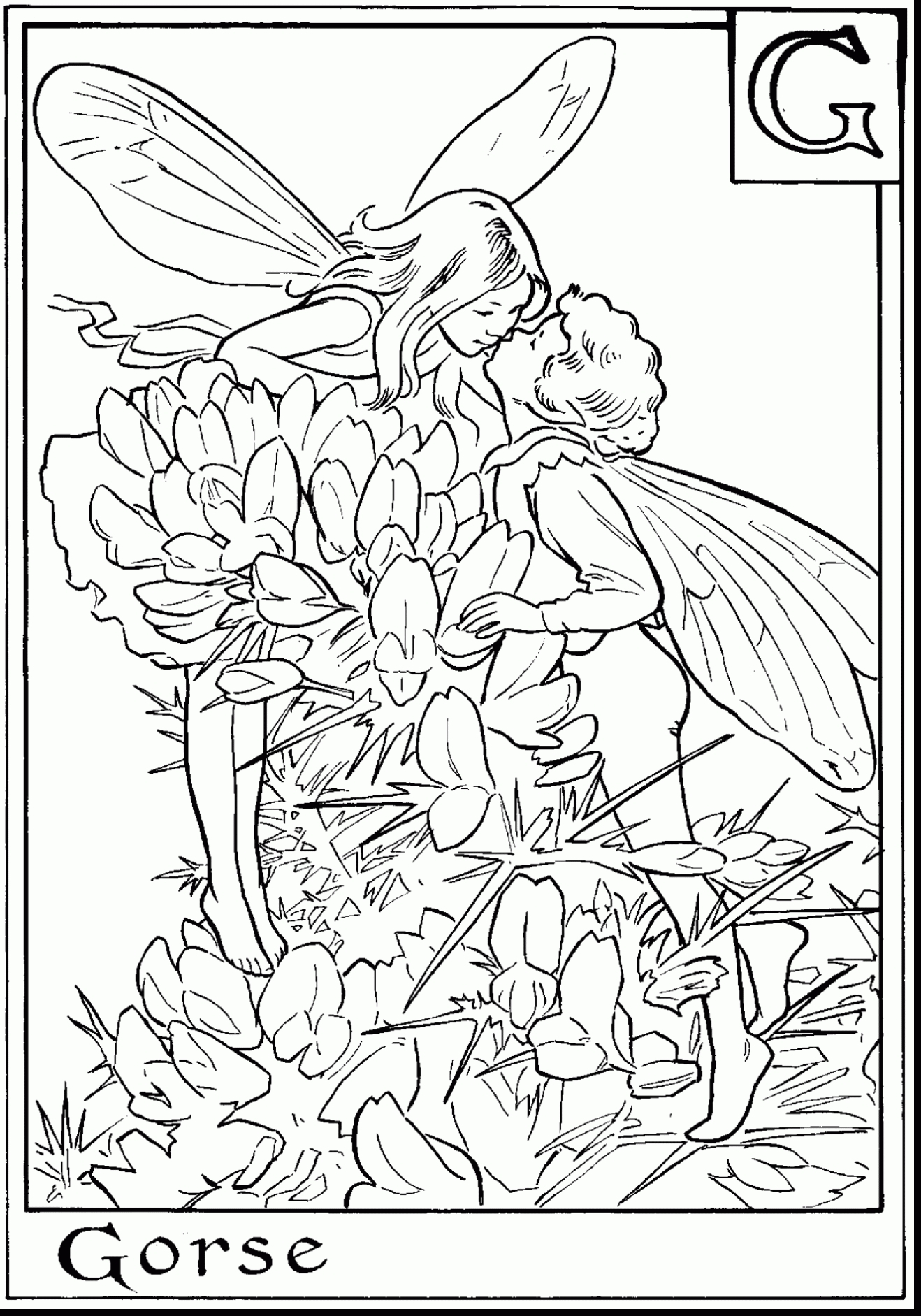Free Coloring Pages Of Fairies Coloring Books Fairy Coloring Book For Adults Free Printable Pages