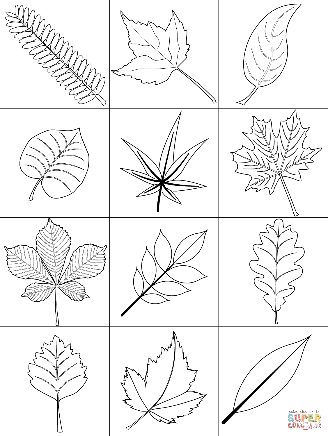Free Coloring Pages Of Leaves Autumn Leaves Coloring Page Free Printable Coloring Pages