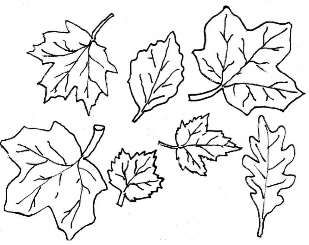 Free Coloring Pages Of Leaves Coloring Ideas Fall Leaves Coloringagesrintable Ideasage Weird