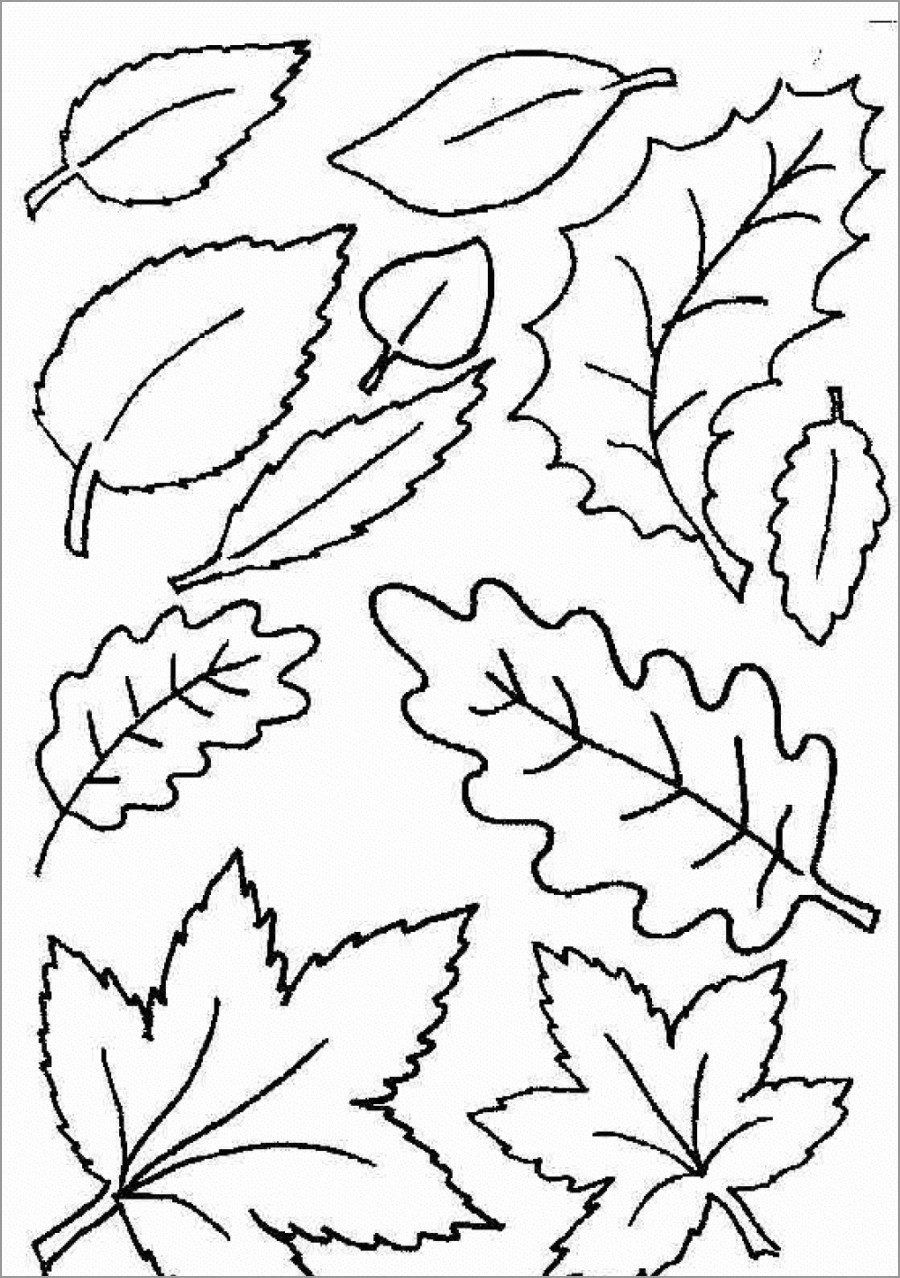 Free Coloring Pages Of Leaves Coloring Pages Autumn Leaves Coloring Pages Image Ideas For Kids