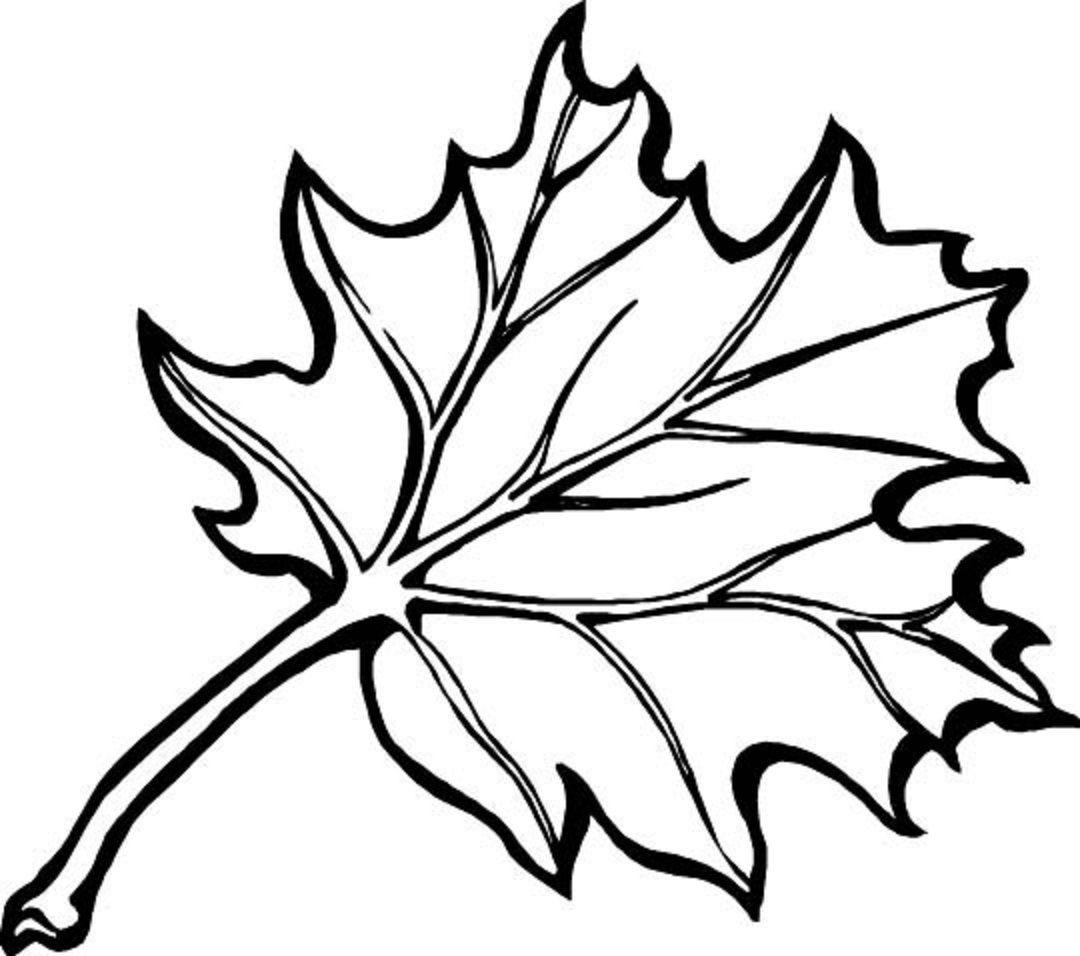 Free Coloring Pages Of Leaves Coloring Pages Autumn Leaves Coloringages At Getdrawings Com Free