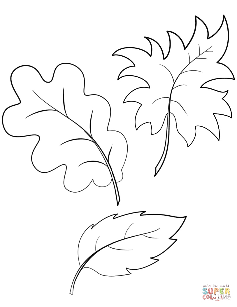 Free Coloring Pages Of Leaves Fall Autumn Leaves Coloring Page Free Printable Coloring Pages