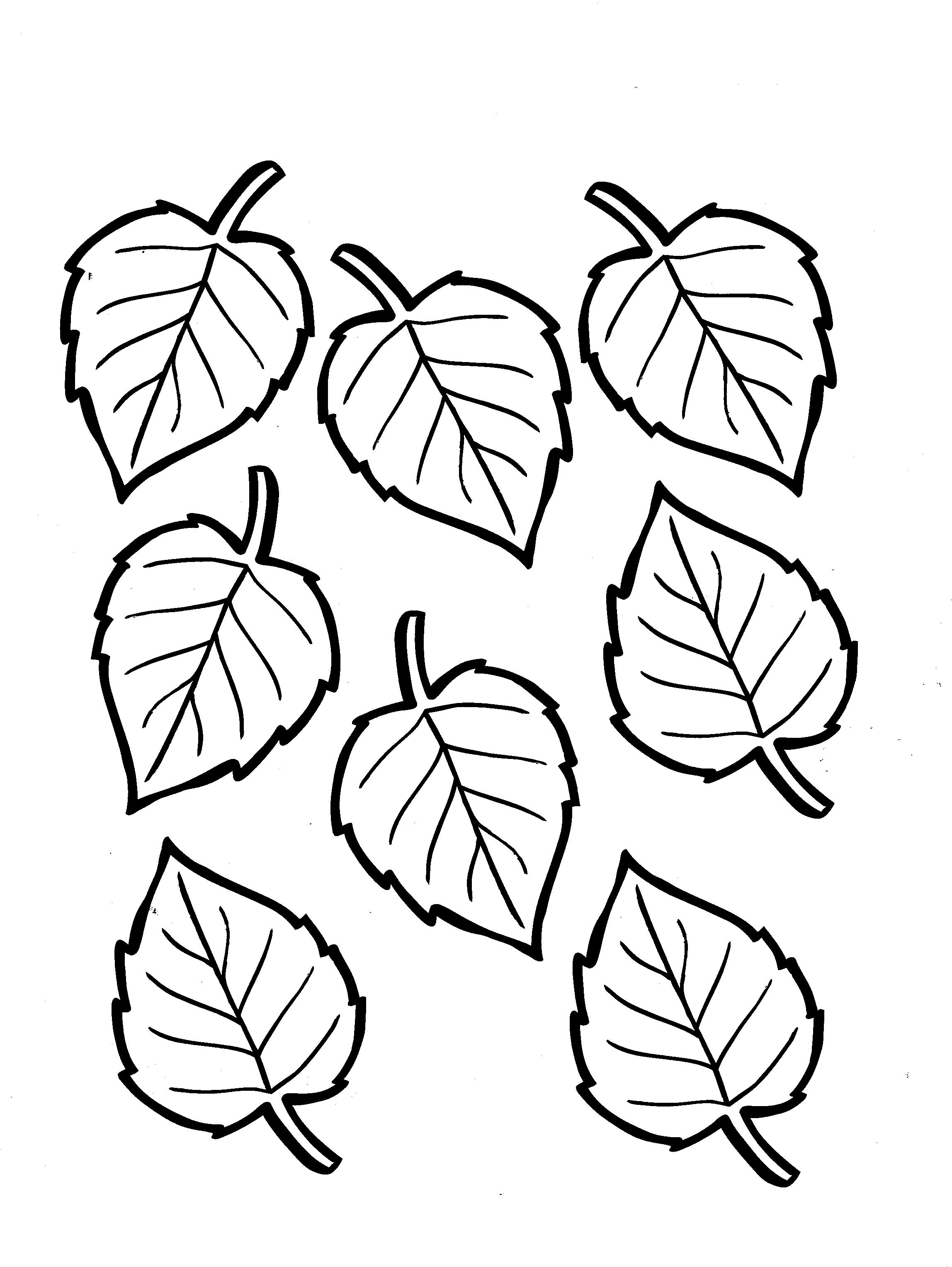 Free Coloring Pages Of Leaves Free Leaf Coloring Pages At Getdrawings Free For Personal Use