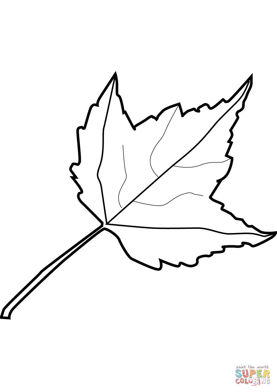 Free Coloring Pages Of Leaves Maple Leaf Coloring Page Free Printable Coloring Pages