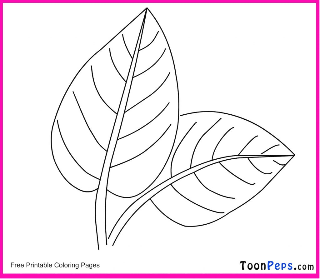 Free Coloring Pages Of Leaves Timely Jungle Leaves Coloring Pages Toonpeps Free Printable Leaf For