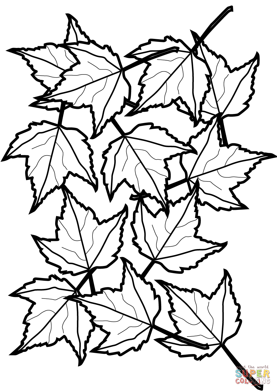 Free Coloring Pages Of Leaves Tree Leaves Coloring Pages With Maple Leaf Coloring Page Autumn