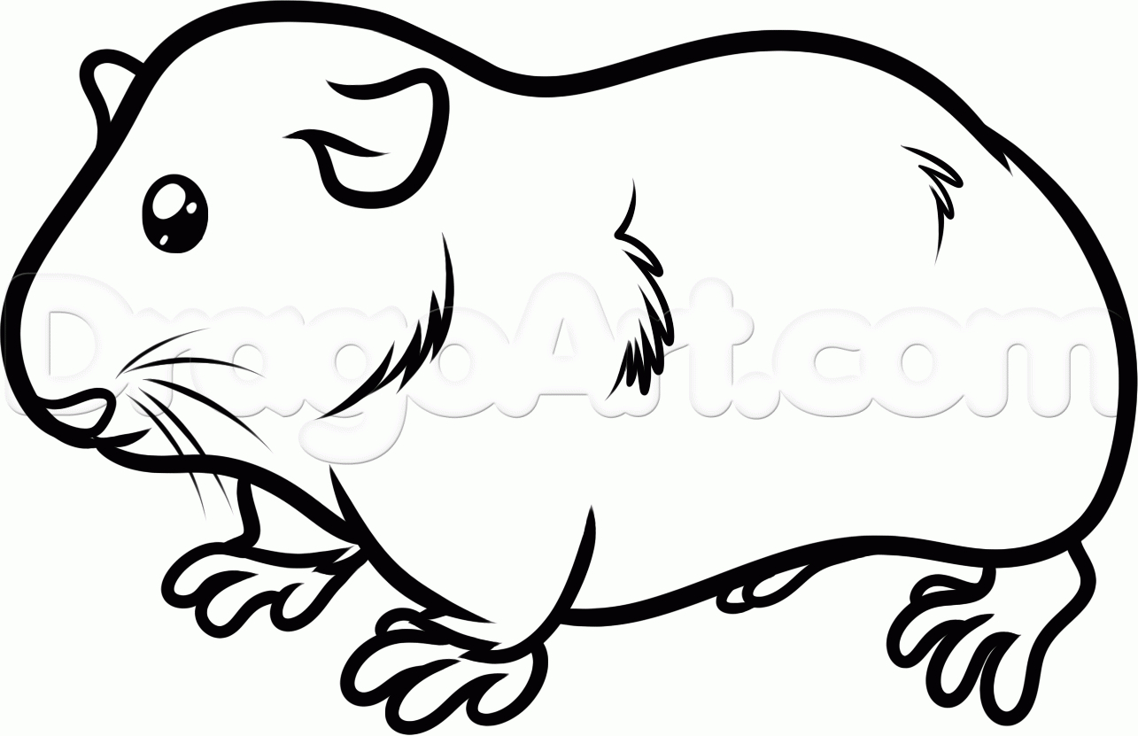 Free Guinea Pig Coloring Pages Cute Guinea Pig Drawings Free Download Best Cute Guinea Pig