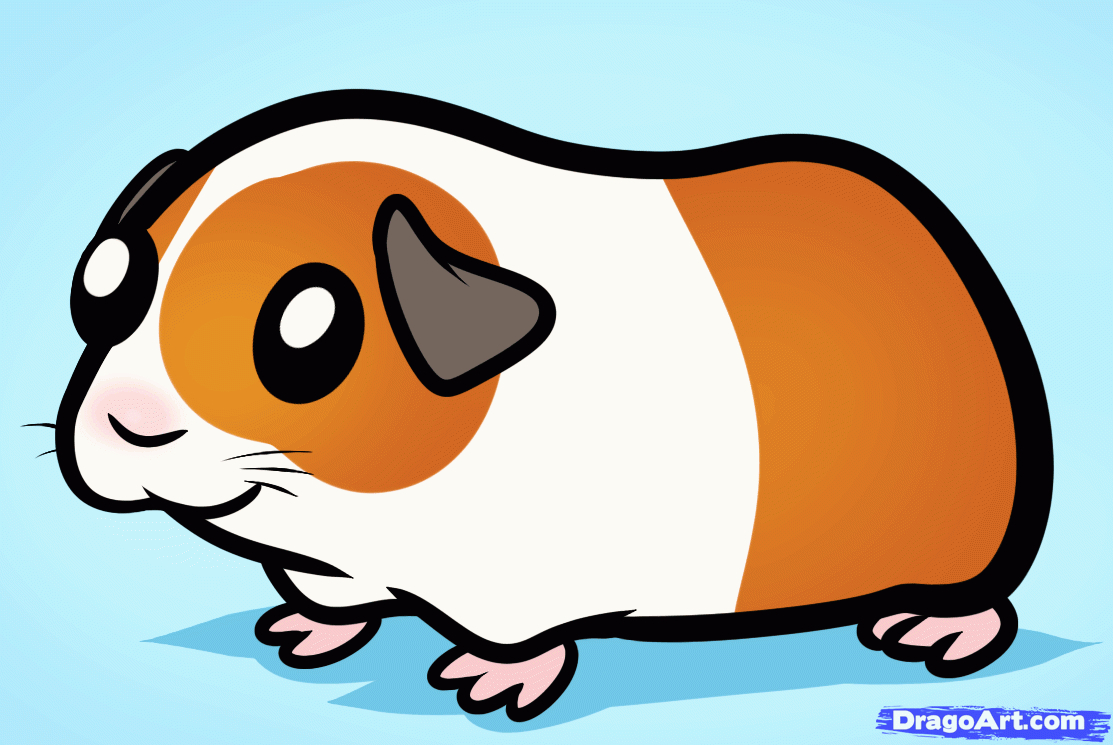 Free Guinea Pig Coloring Pages Free Cartoon Guinea Pig Download Free Clip Art Free Clip Art On