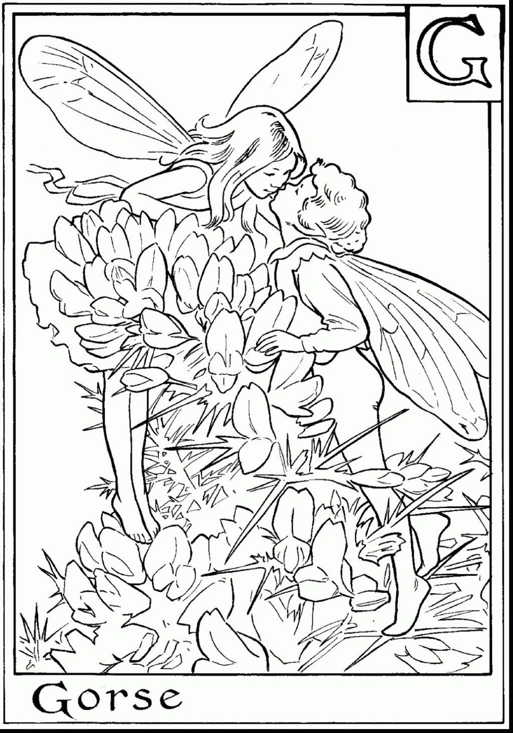Free Printable Coloring Pages Fairies Adults Coloring Book World Genuine Colouring Pictures Of Fairies Best