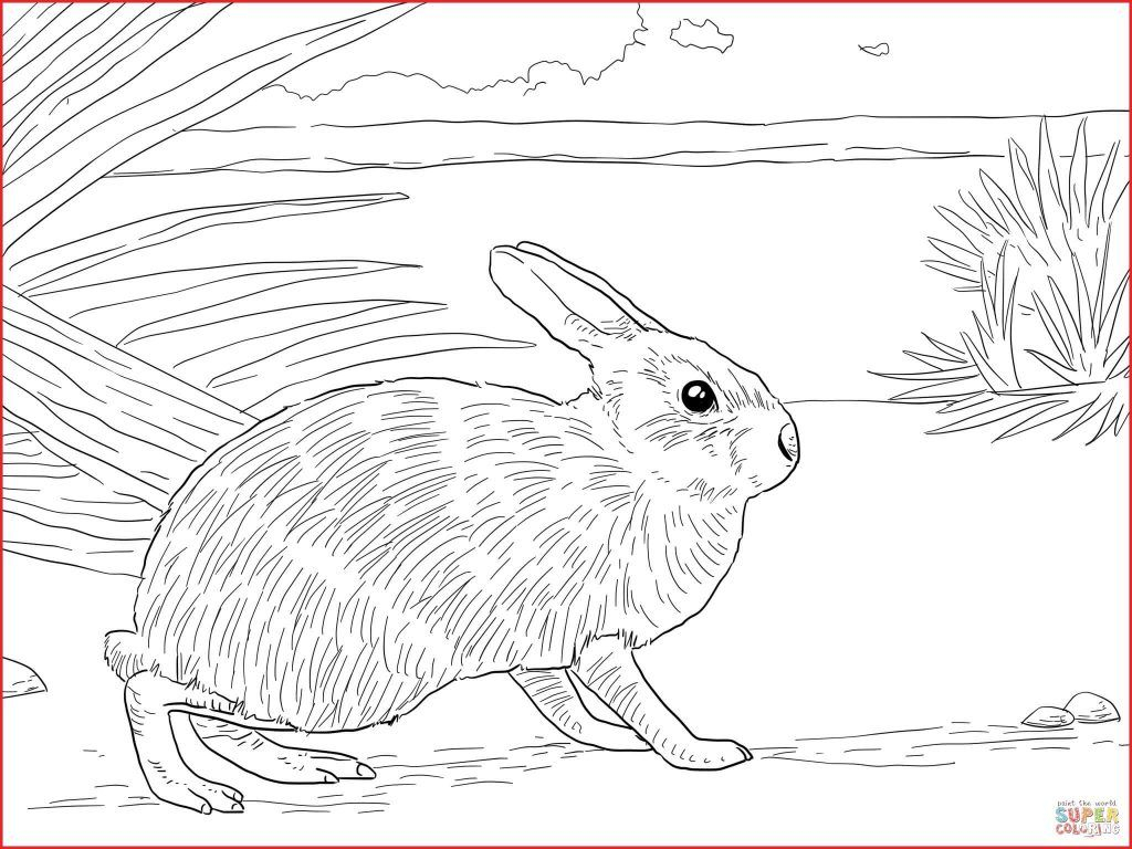 Free Printable Peter Rabbit Coloring Pages Coloring Ideas Coloring Pages Peterloring Frees Of Minecraft Peter