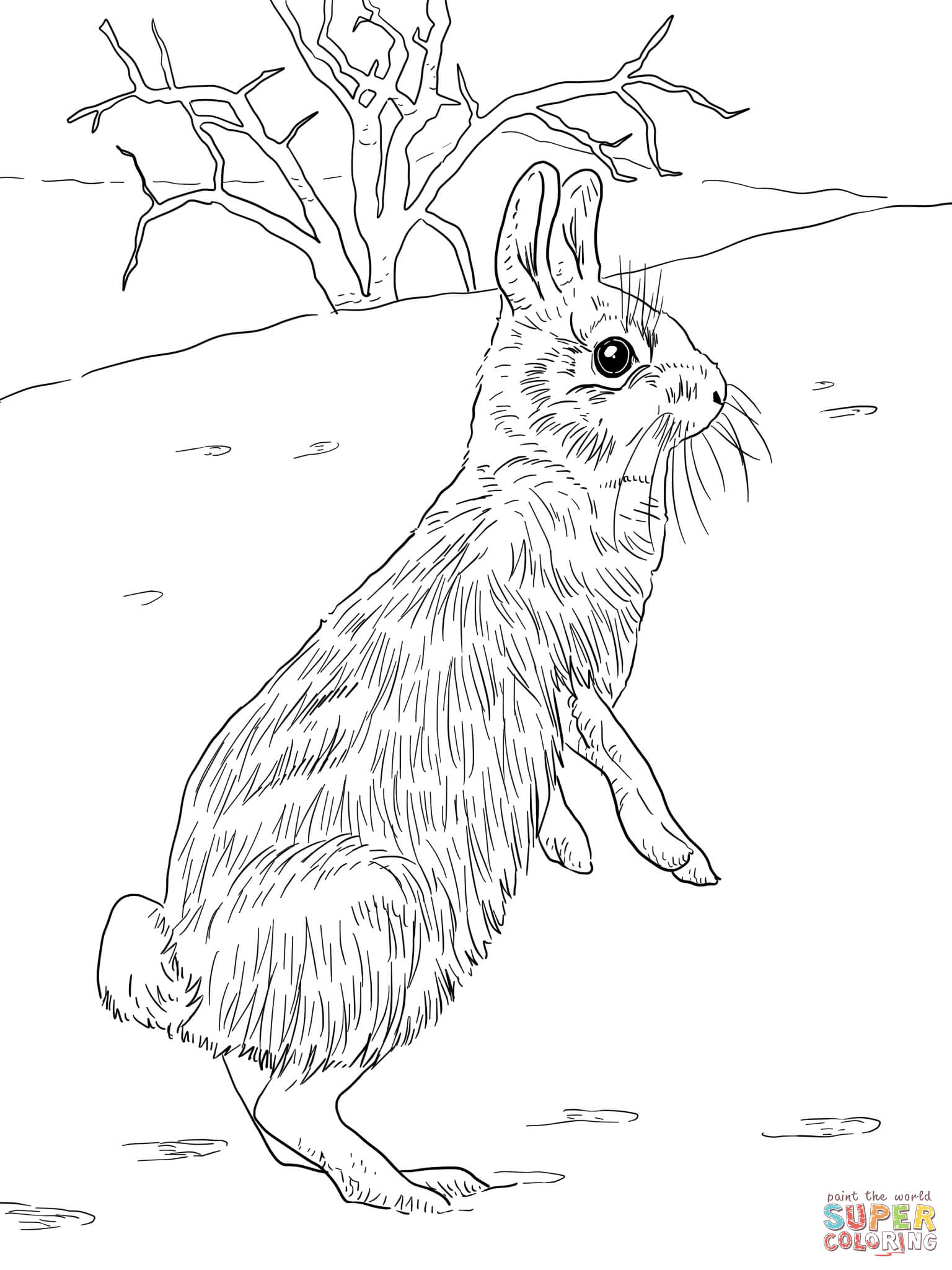 Free Printable Peter Rabbit Coloring Pages Peter Cottontail Printable Coloring Pages Coloring Home