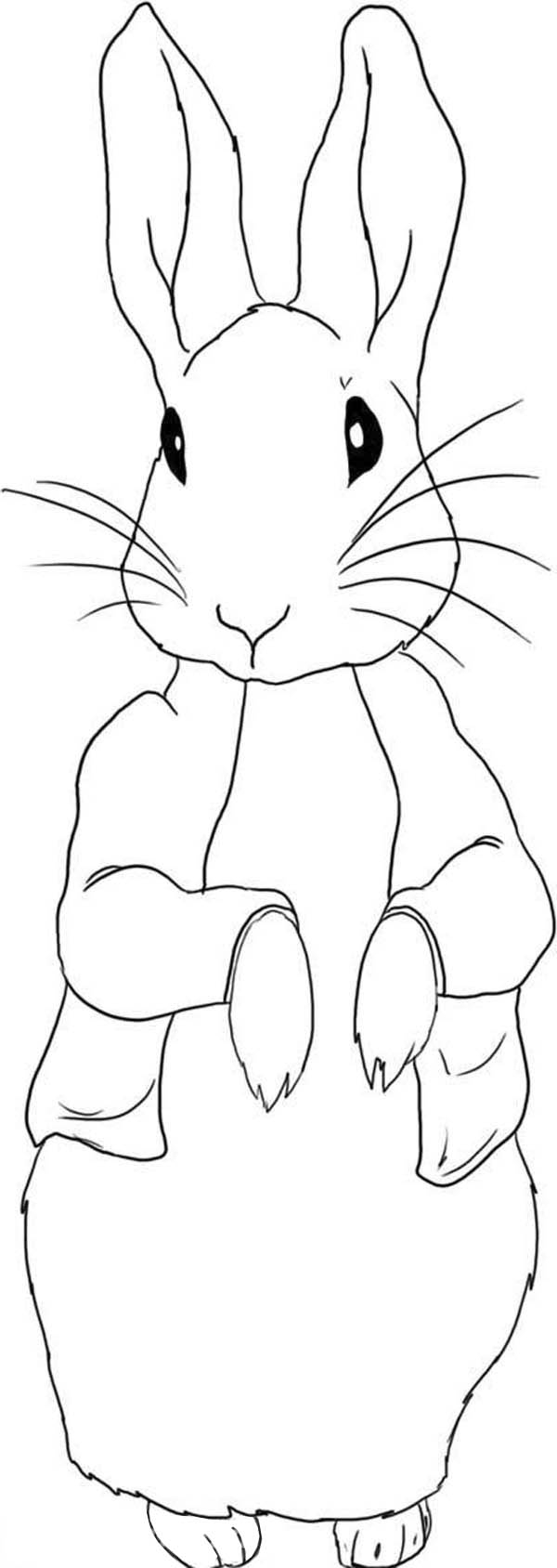 Free Printable Peter Rabbit Coloring Pages Peter Rabbit Pictures To Print Free Coloring Library