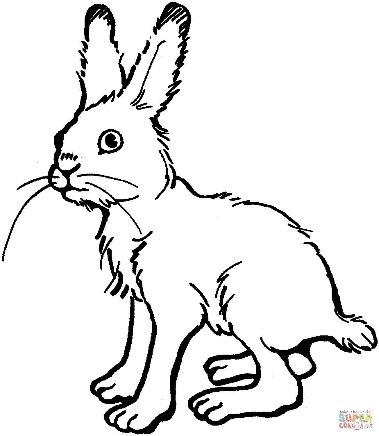 Free Printable Peter Rabbit Coloring Pages Rabbits Coloring Pages Free Coloring Pages