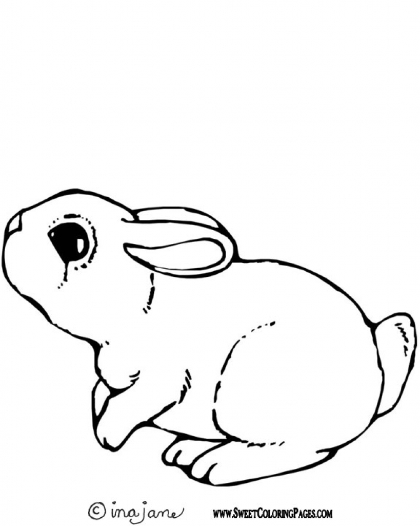 Free Rabbit Coloring Pages Bunny Coloring Pages Free Download Best Bunny Coloring Pages On