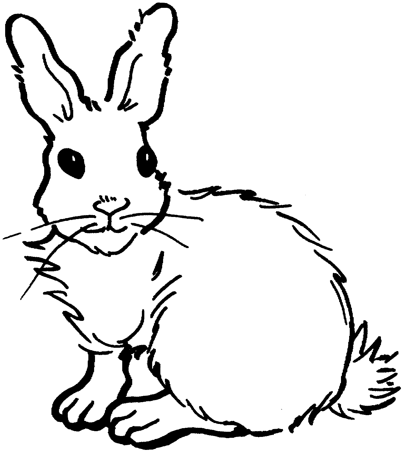 Free Rabbit Coloring Pages Coloring Rabbit Coloring Pages Photo Inspirations Free Printable