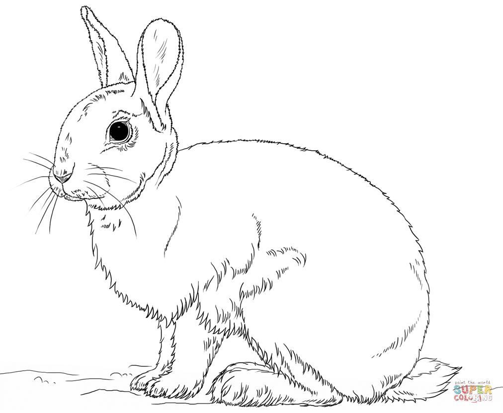 Free Rabbit Coloring Pages Cute Bunny Rabbit Coloring Page Free Printable Coloring Pages
