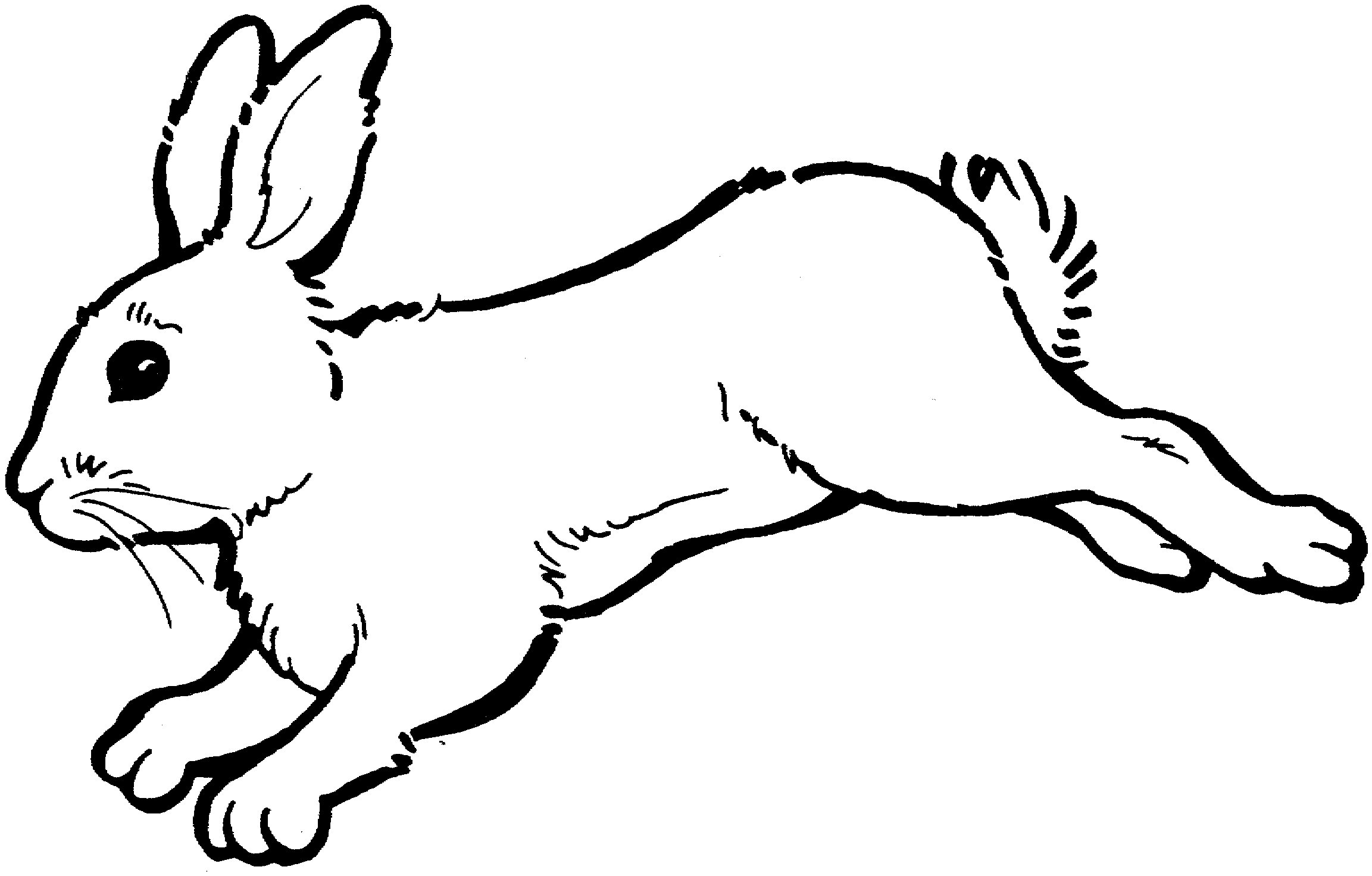 Free Rabbit Coloring Pages Free Rabbit Coloring Pages