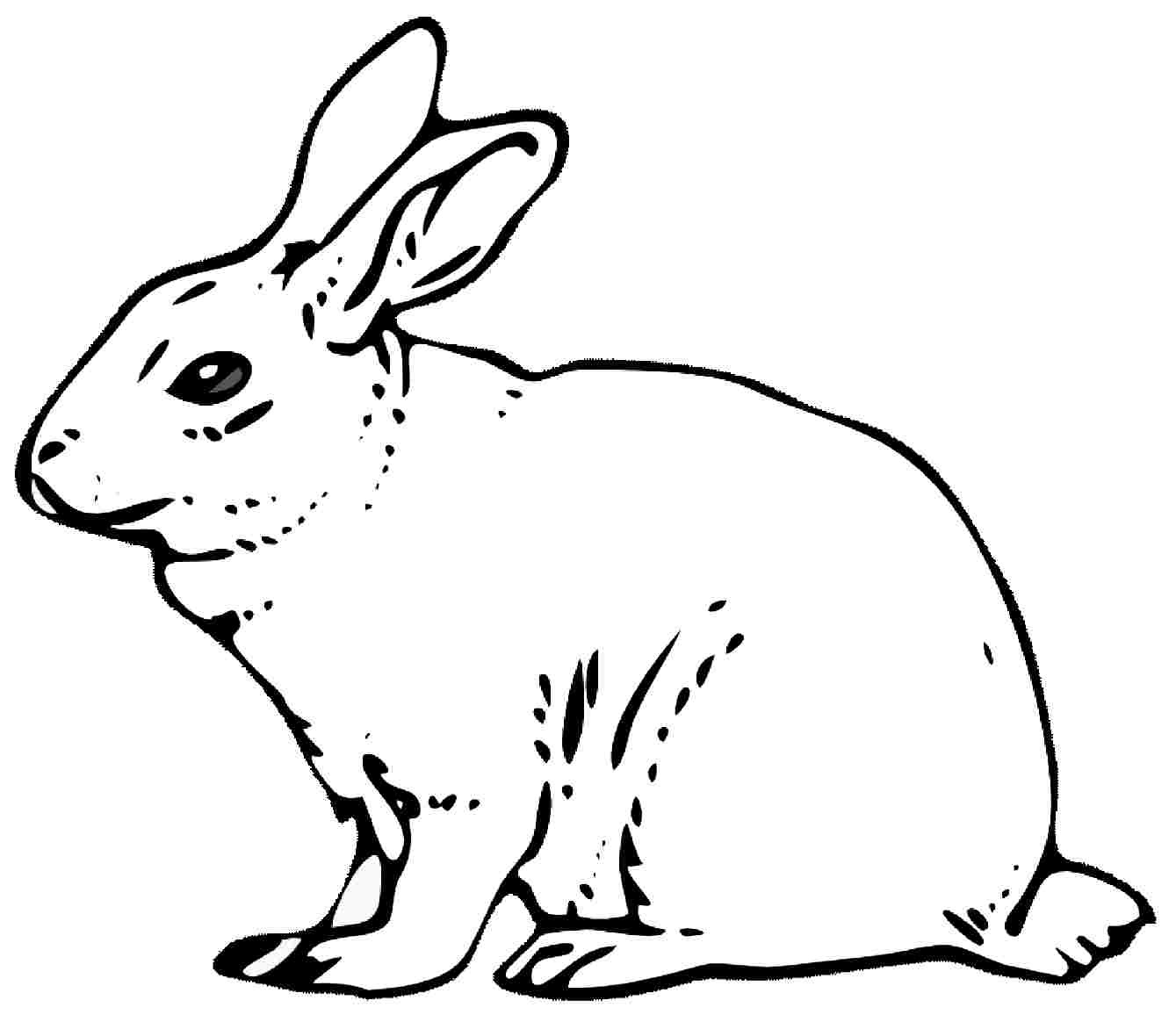 Free Rabbit Coloring Pages Images Of Printable Rabbit Coloring Pages Asteknikyapi