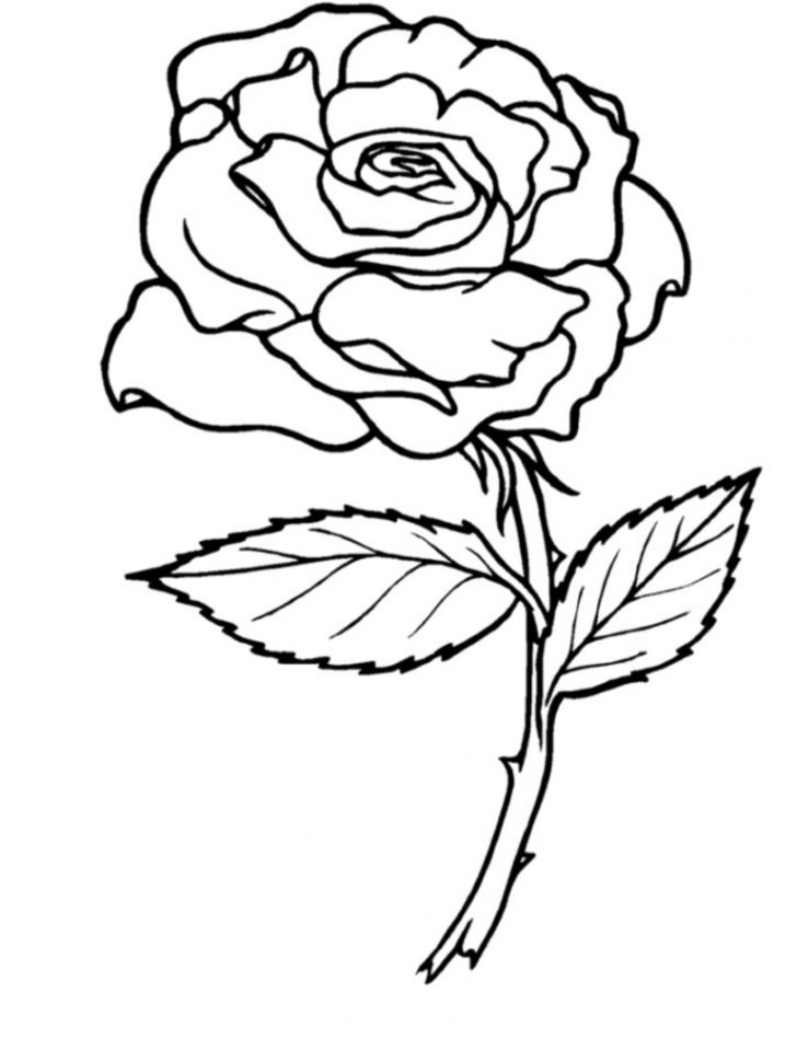 Exclusive Photo of Free Rose Coloring Pages - vicoms.info