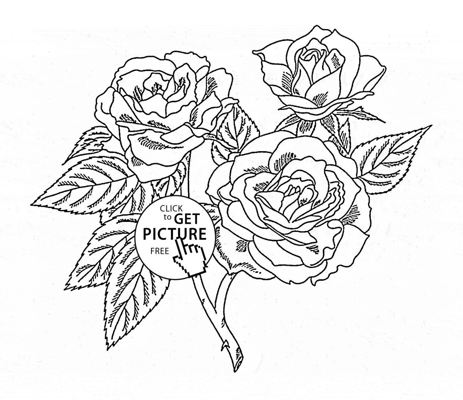 Free Rose Coloring Pages Realistic Roses Coloring Page For Kids Flower Coloring Pages