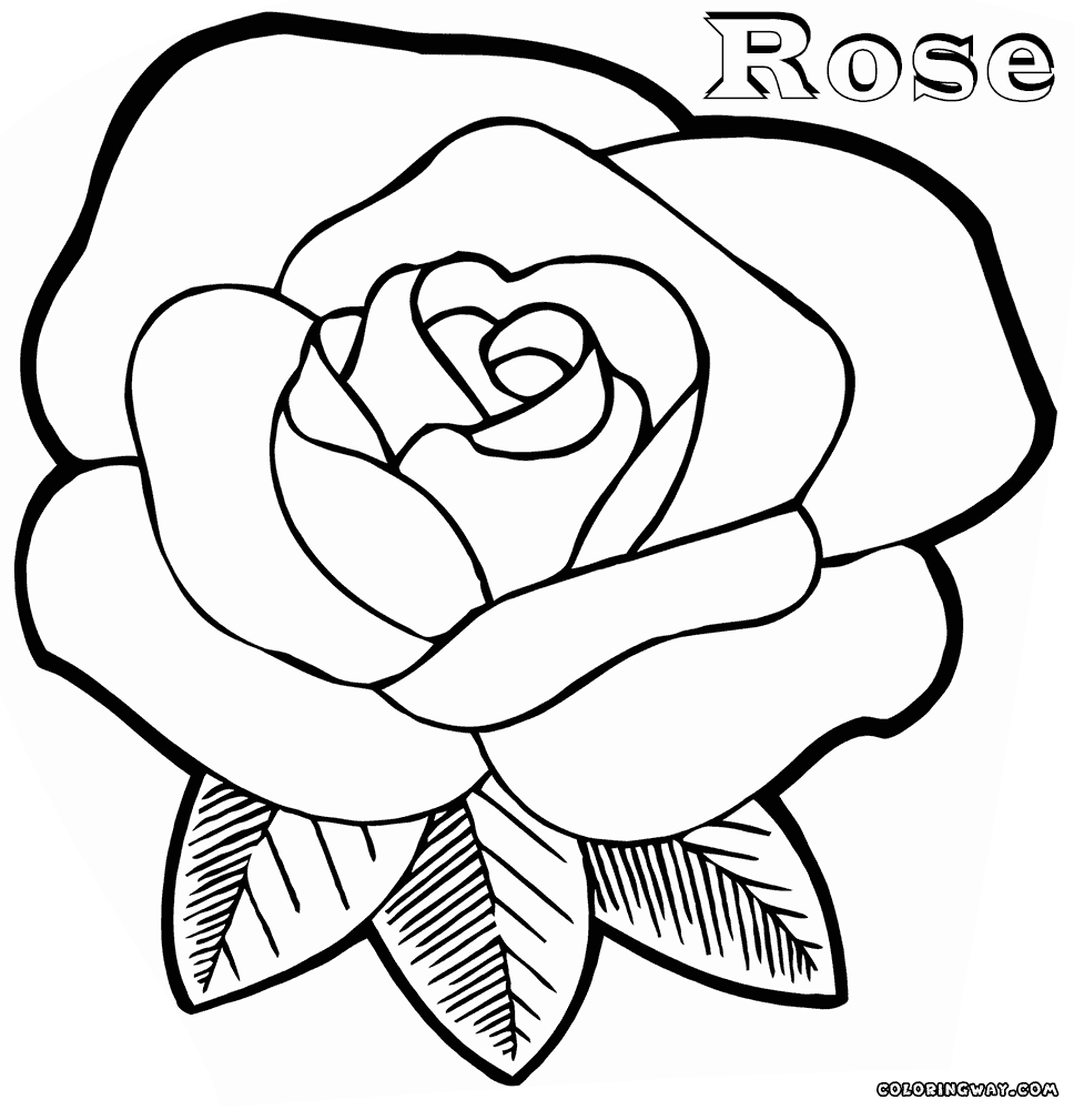 Free Rose Coloring Pages Roses Flower Print Out Coloring Pages Photo Album Sabadaphnecottage