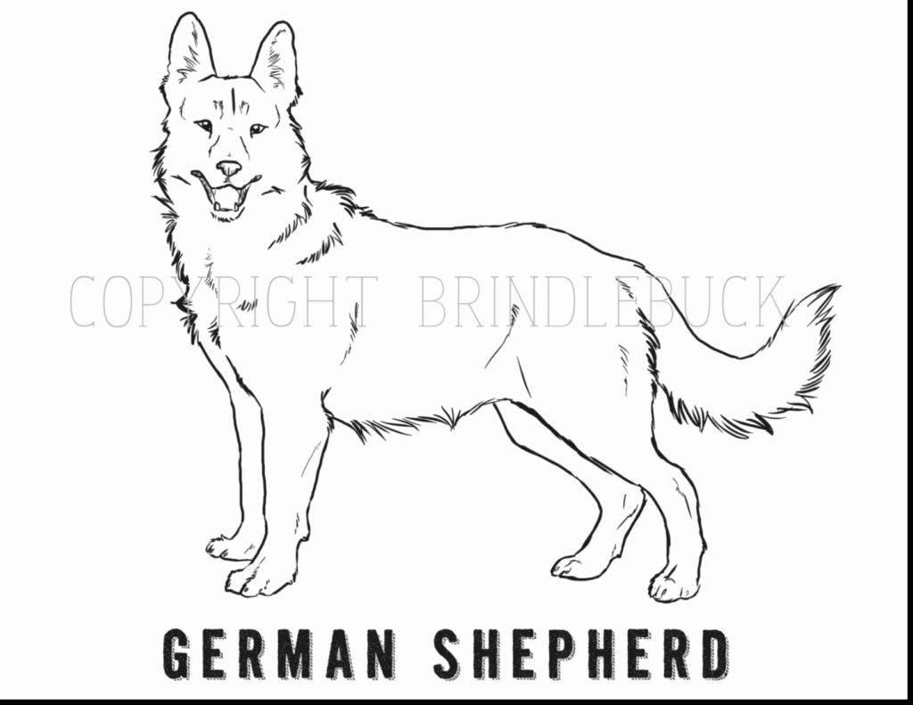 German Shepherd Coloring Pages Free Coloring Coloring German Shepherd Pagesable Free Flowers Dog For
