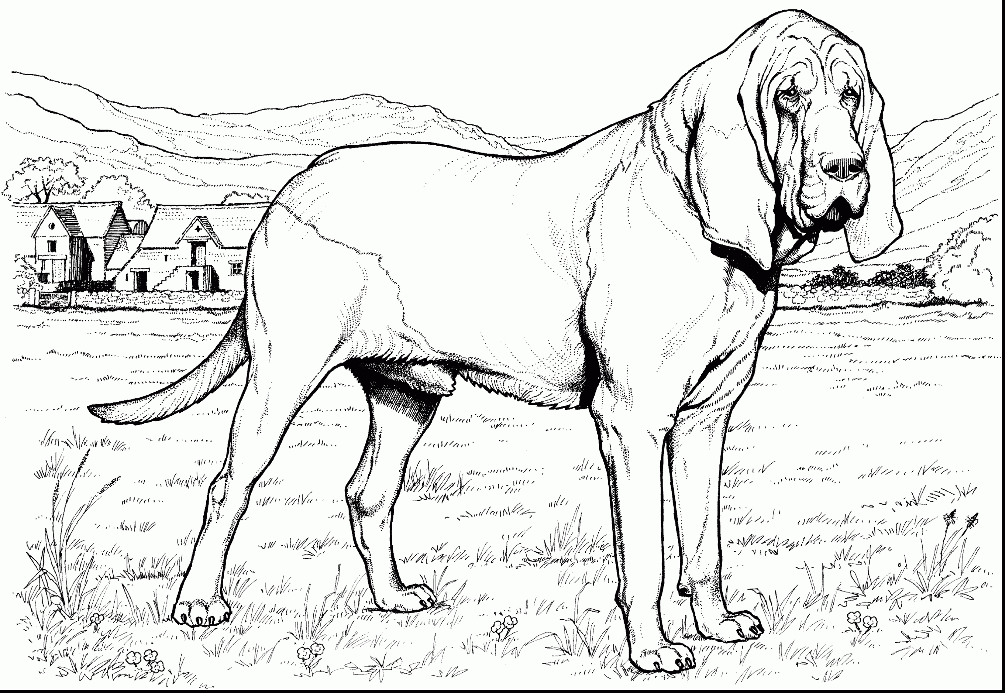 German Shepherd Coloring Pages Free Realistic German Shepherd Coloring Pages