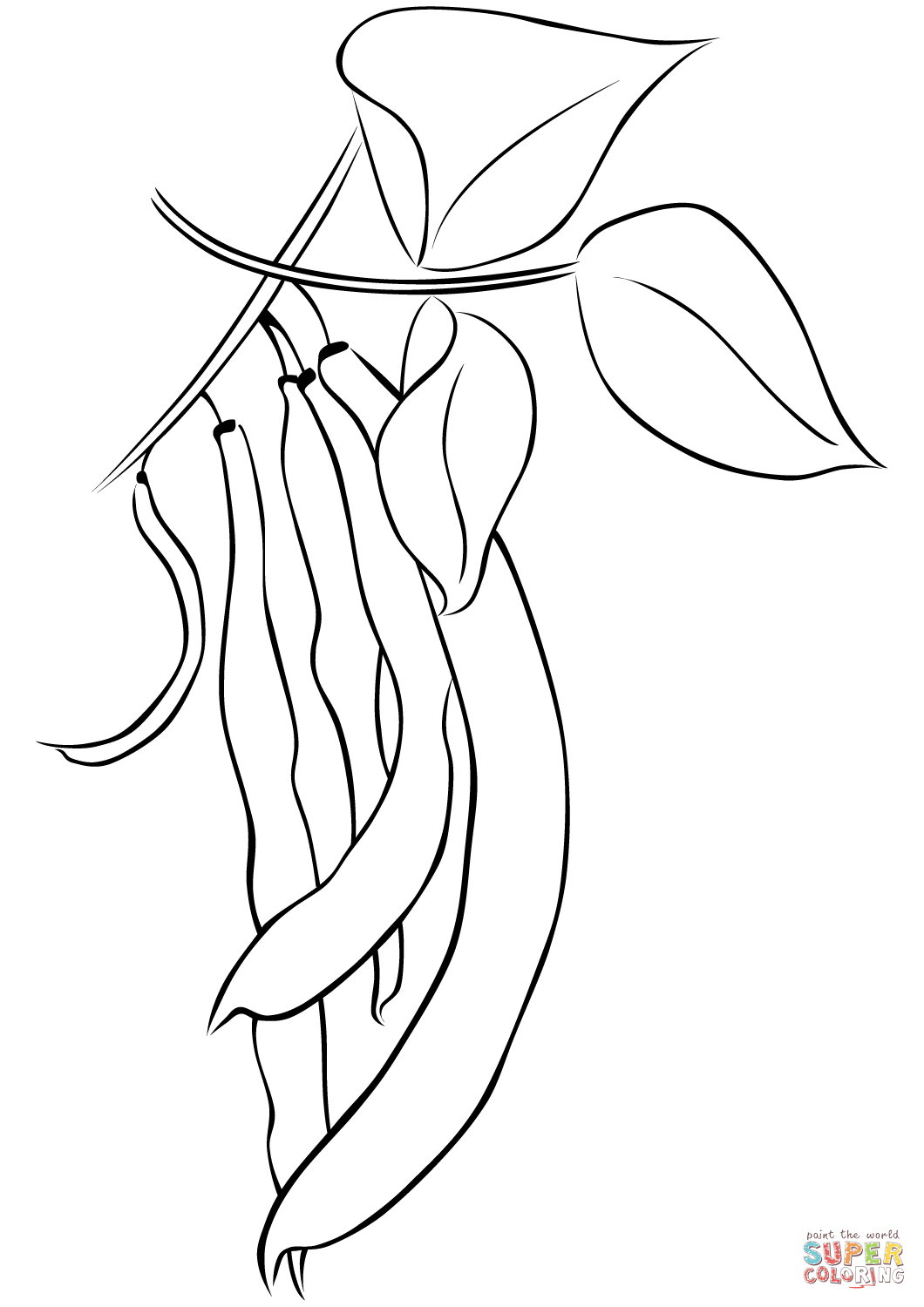Green Beans Coloring Page Beans Coloring Page Free Printable Coloring Pages