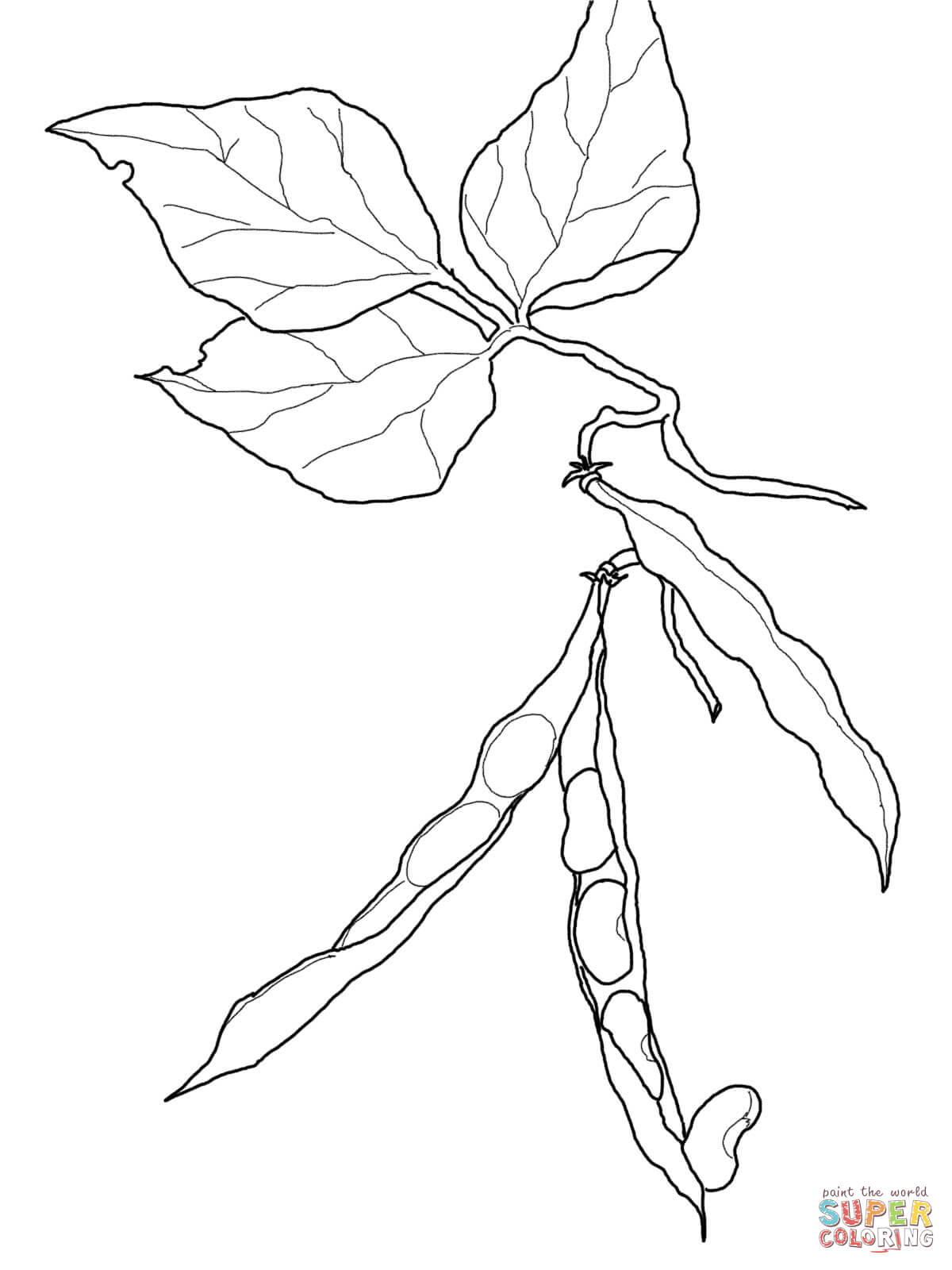 Green Beans Coloring Page Green Bean Coloring Page Free Printable Coloring Pages Coloring Home