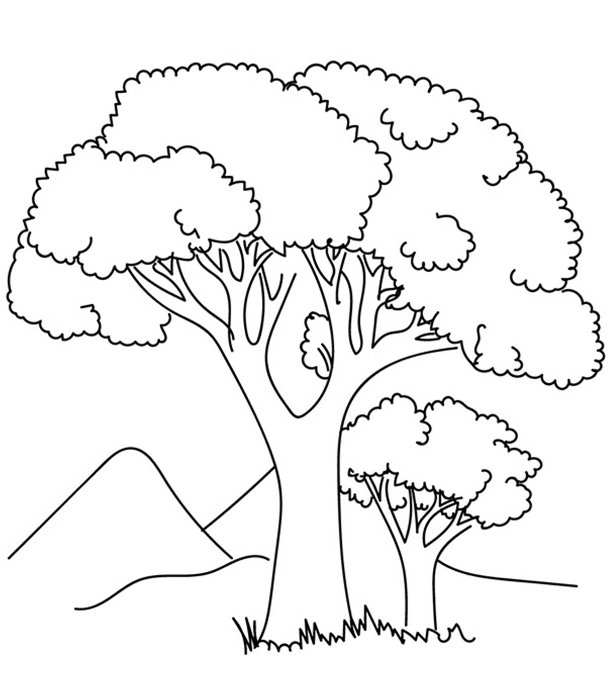 Green Beans Coloring Page Top 25 Tree Coloring Pages For Your Little Ones