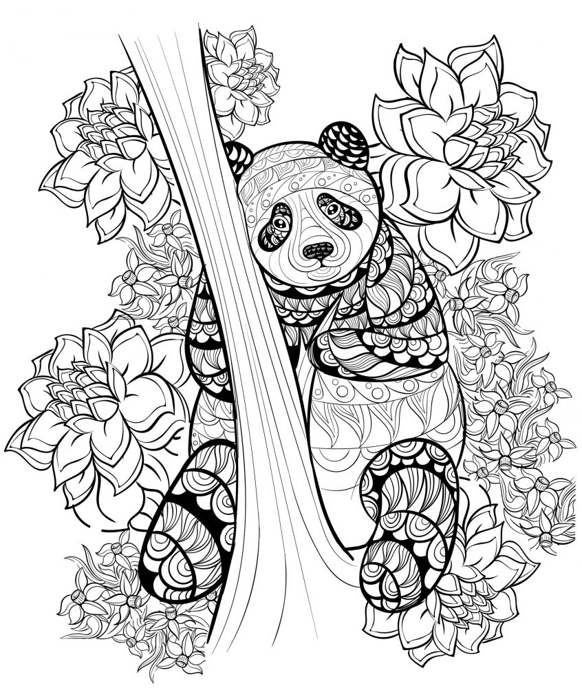 Hard Animal Coloring Pages Coloring Animal Coloring Pages Panda Coloringstar Sheets Zen Book