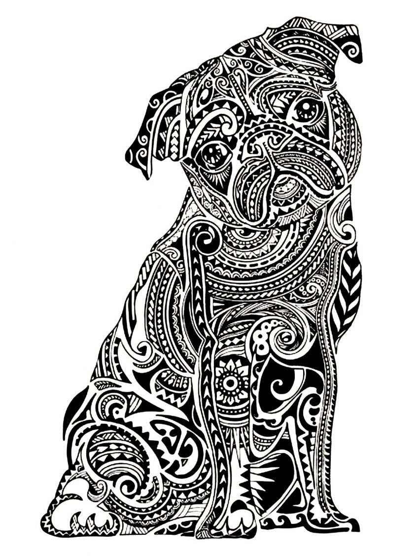 Hard Animal Coloring Pages Coloring Staggering Hard Coloring Pages Of Animals Books Animal For