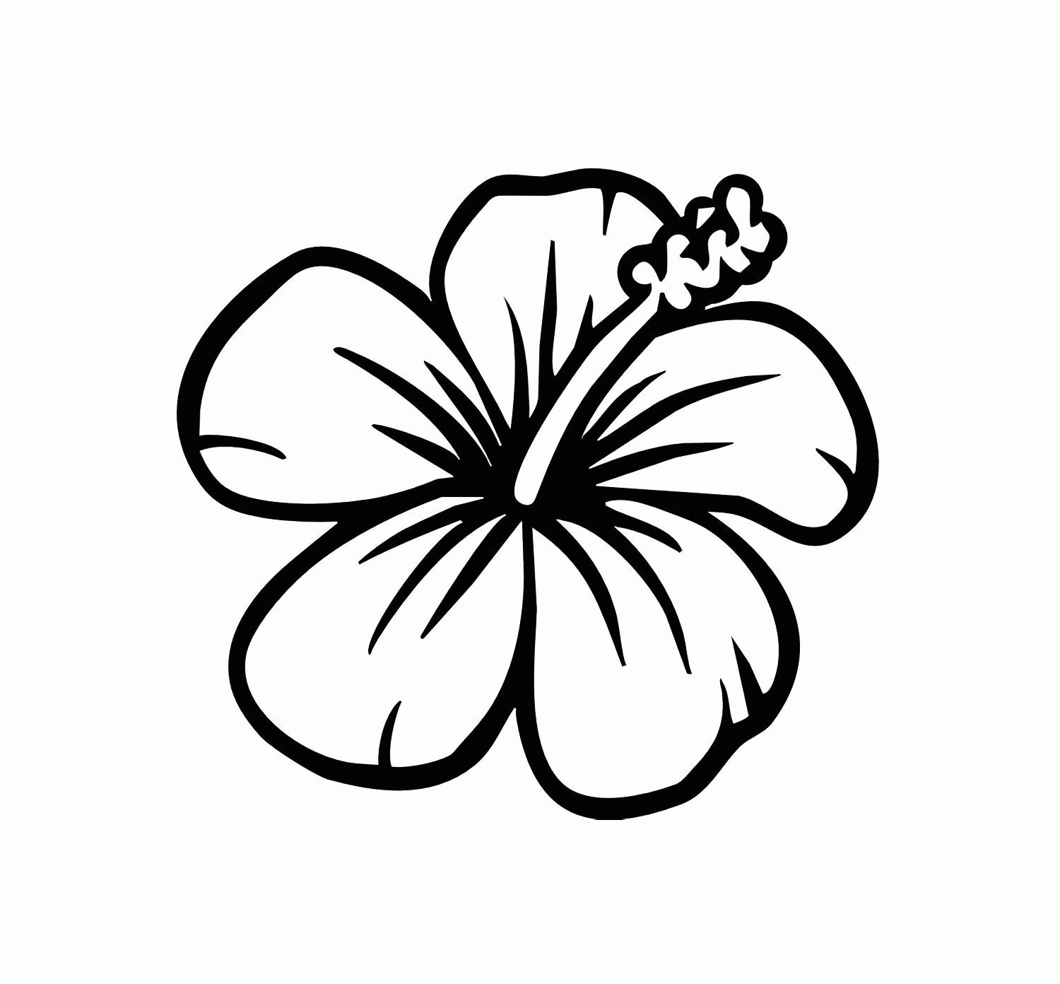 Hibiscus Flower Coloring Pages Collection Hawaiian Flowers Coloring Pages Pictures Sabadaphnecottage