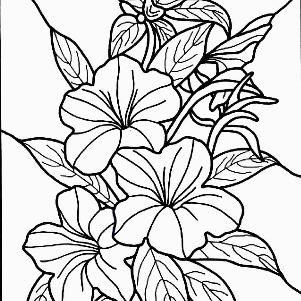 Hibiscus Flower Coloring Pages Free Printable Hibiscus Coloring Pages For Kids For Coloring Pages