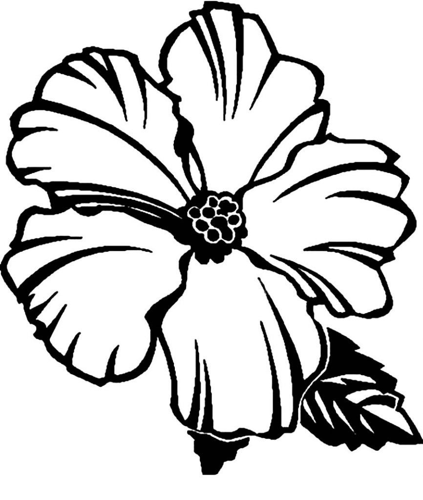 Hibiscus Flower Coloring Pages Free Printable Hibiscus Coloring Pages For Kids For Hibiscus Flower