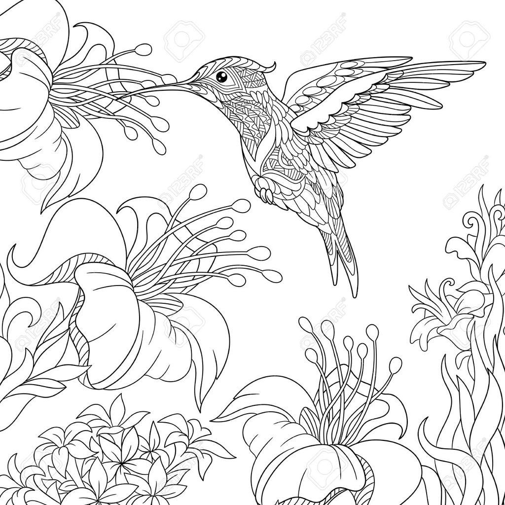 Hibiscus Flower Coloring Pages Hibiscus Coloring Page Bird Flowers Wiring Diagram Database