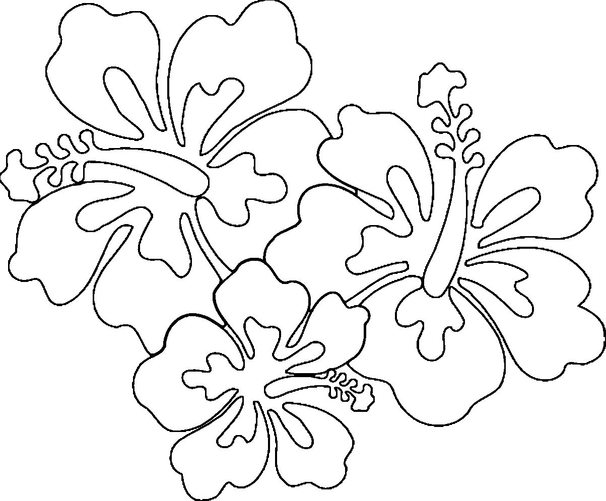 Hibiscus Flower Coloring Pages Hibiscus Flower Coloring Pages