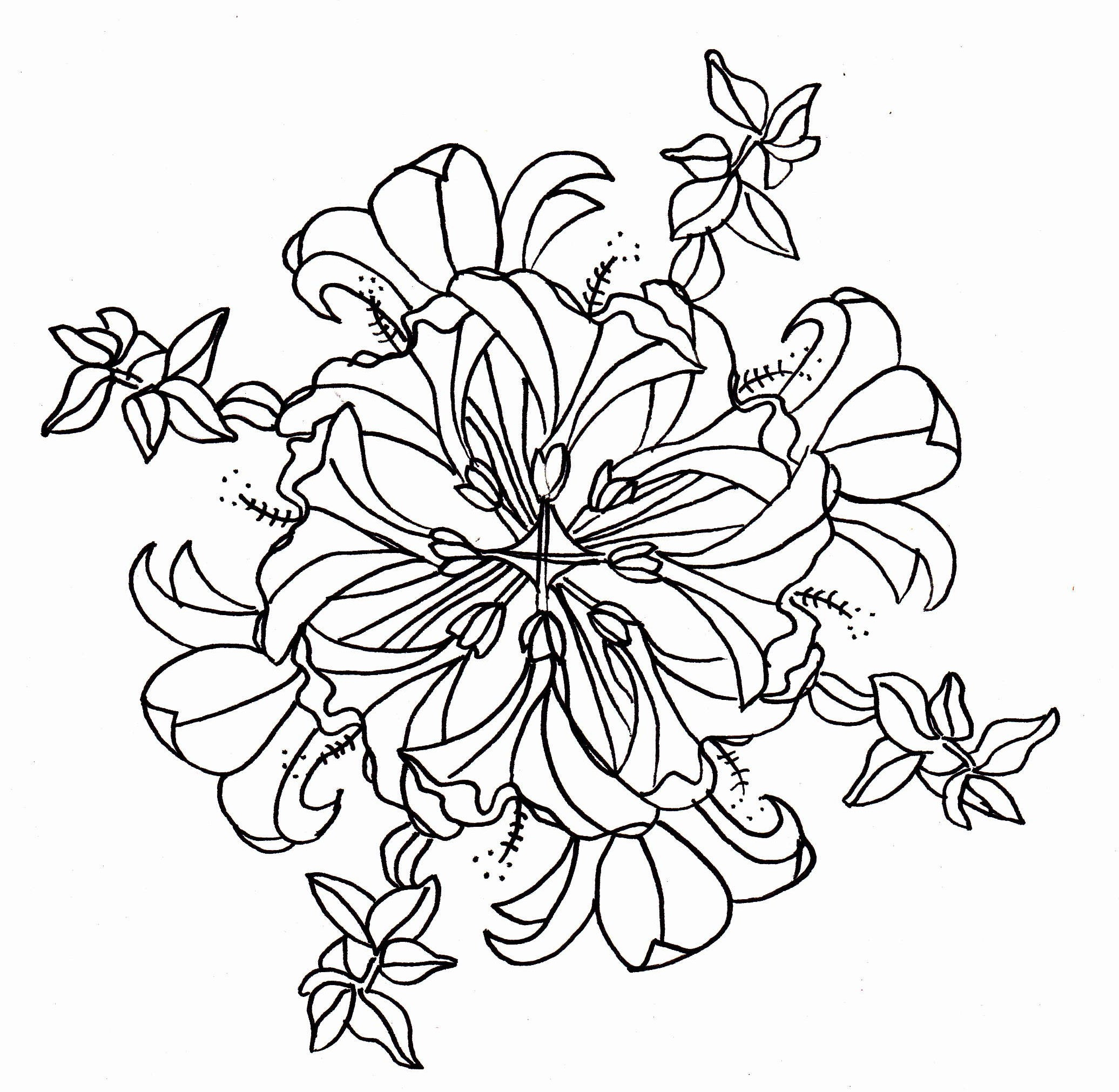 Hibiscus Flower Coloring Pages Hibiscus Line Drawing At Getdrawings Free For Personal Use