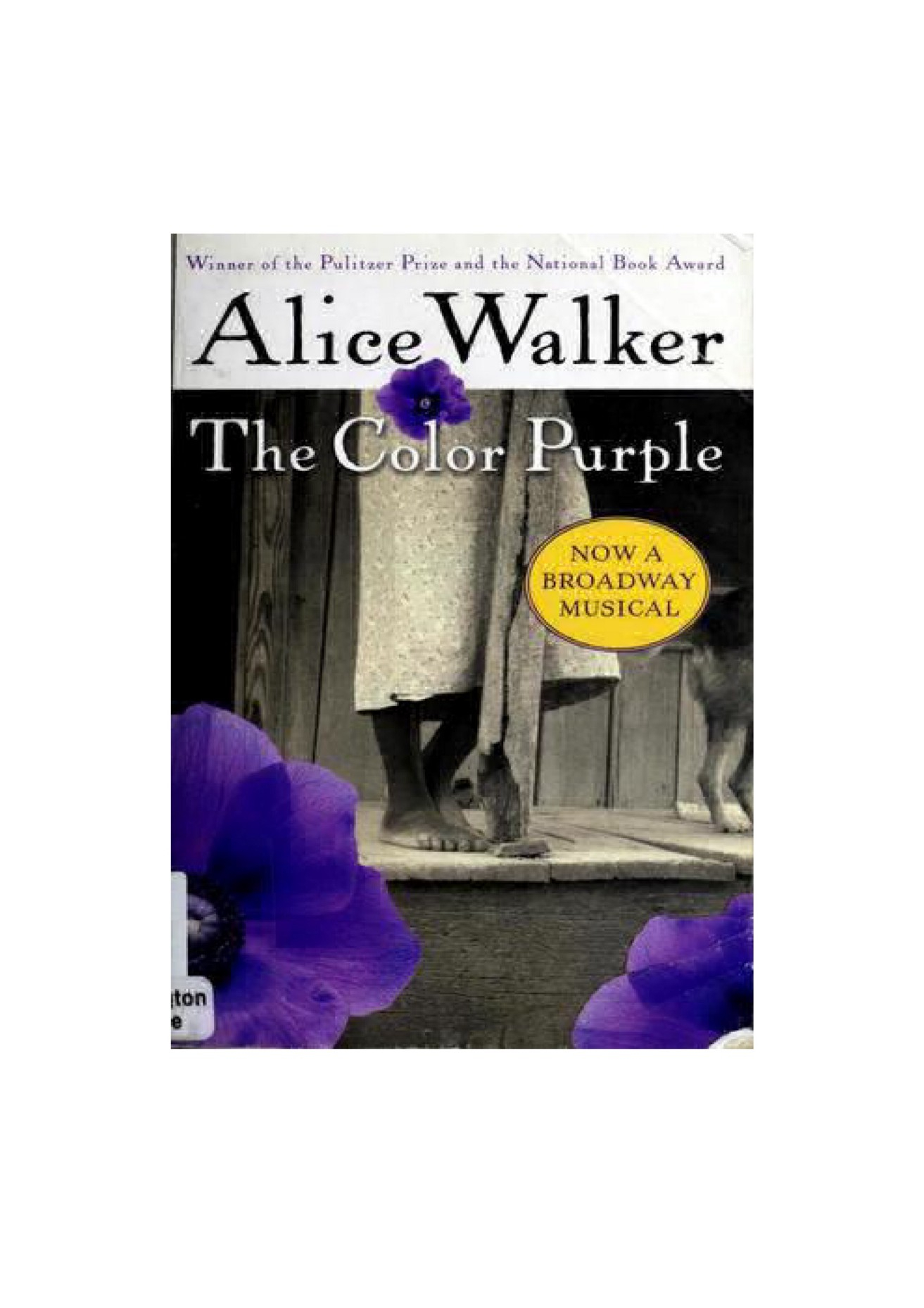 How Many Pages Is The Color Purple Download Pdf The Color Purple Full Pages