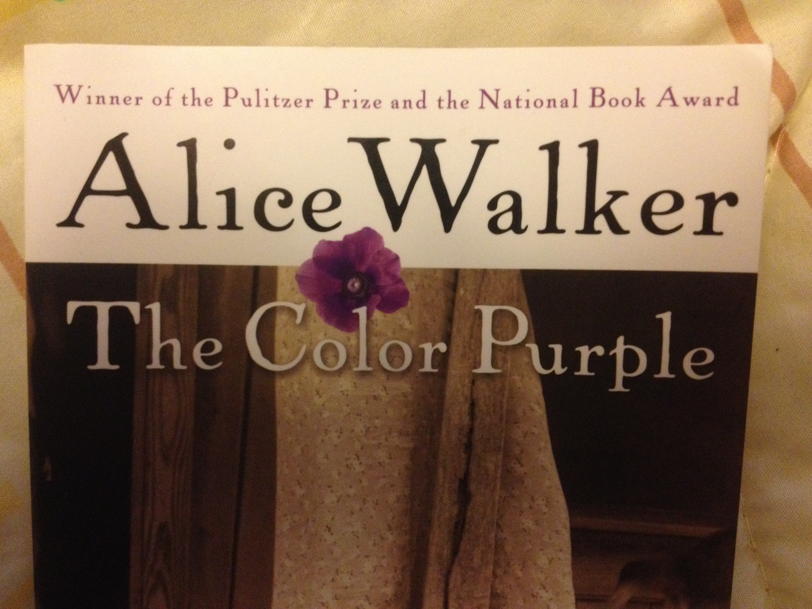 How Many Pages Is The Color Purple You Better Not Never Tell Nobody But God Itd Kill Your Mammy