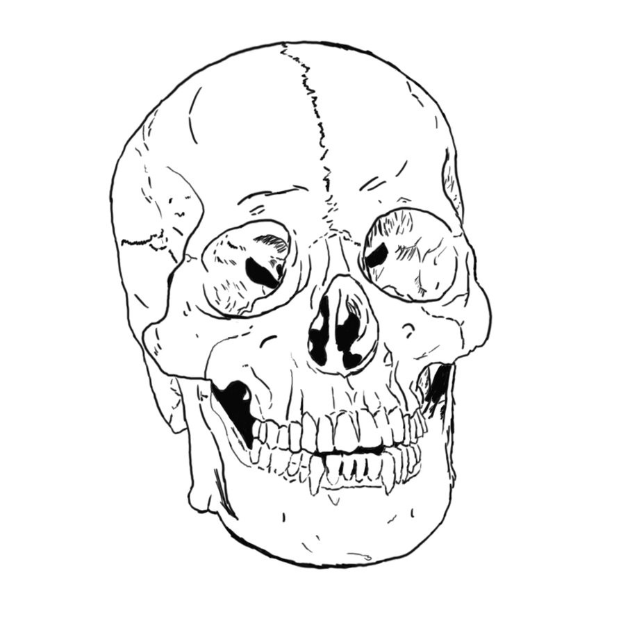 Human Skeleton Coloring Pages Coloring Pages Bones Of The Skull Coloring Pages Picture